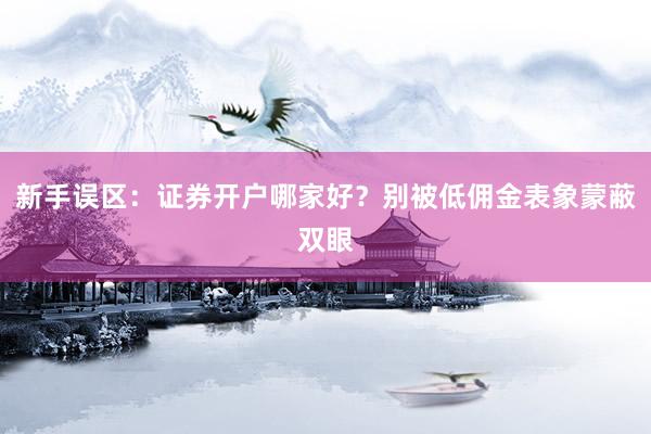 新手误区：证券开户哪家好？别被低佣金表象蒙蔽双眼