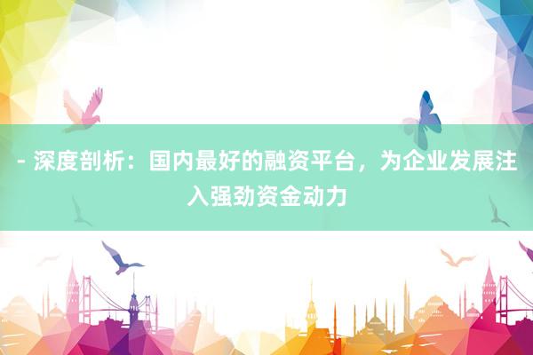 - 深度剖析：国内最好的融资平台，为企业发展注入强劲资金动力