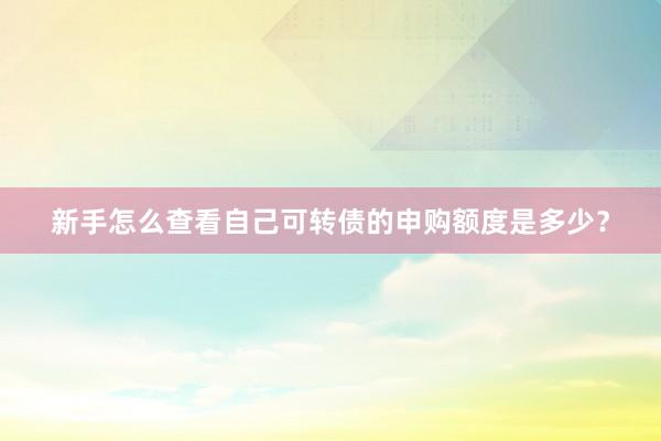 新手怎么查看自己可转债的申购额度是多少？