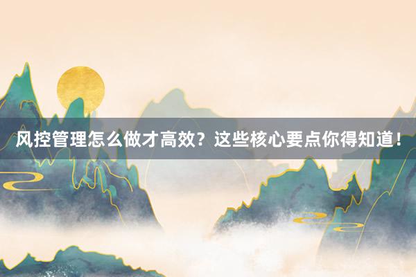 风控管理怎么做才高效？这些核心要点你得知道！