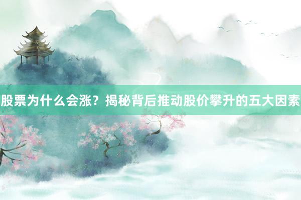 股票为什么会涨？揭秘背后推动股价攀升的五大因素