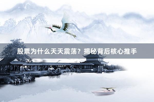 股票为什么天天震荡？揭秘背后核心推手