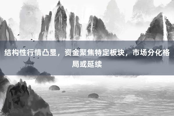 结构性行情凸显，资金聚焦特定板块，市场分化格局或延续